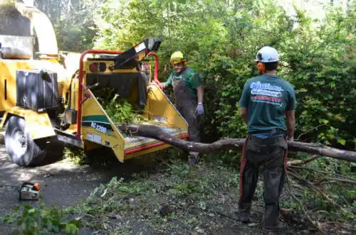 tree services Jeffersonville